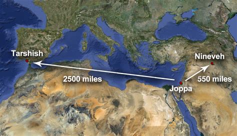 joppa map|nineveh tarshish joppa map.